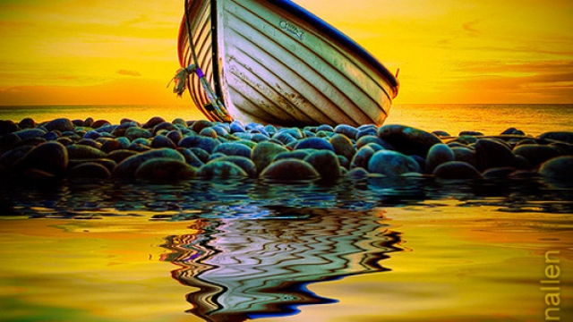 Capturing Moments: Unveiling the Art of Photography