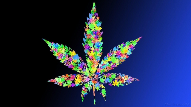 Green Dreams: Exploring the Pioneering World of Marijuana