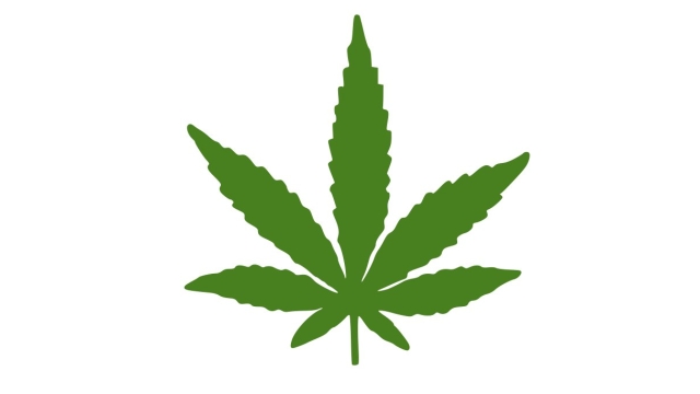 Munch, Munch: Exploring the Tasty World of Weed Edibles