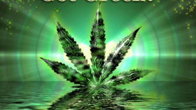 The High Life: Exploring the World of Marijuana