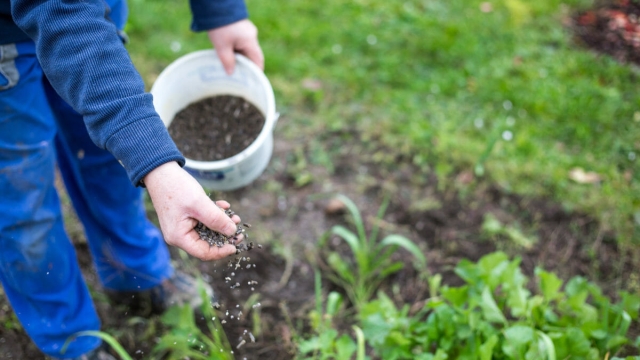 From Dirt to Delight: Unleashing the Power of Organic Soils and Fertilizers