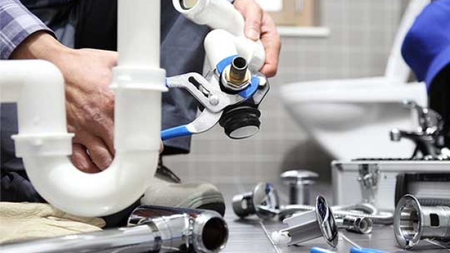 Pipe Dreams: Unveiling the Secrets of Professional Plumbing