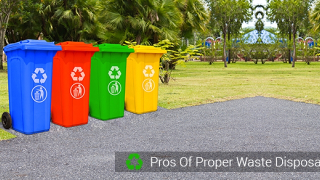The Art of Waste Removal: Efficiency and Sustainability in a Clean-Cut World