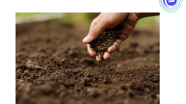 The Untapped Power of Organic Soils: Unlocking Nature’s Secret to Sustainable Growth