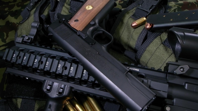 Locked and Loaded: Exploring the World of Firearms