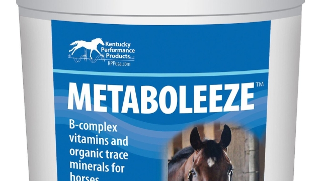 The Ultimate Guide to Enhancing Horse Health with Supplements