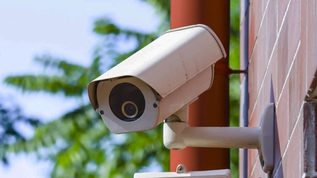 Guardian Eyes: Keeping Watch with Security Cameras