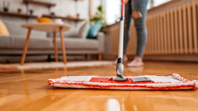 Sparkle and Shine: Transform Your Space with Expert Cleaning Services