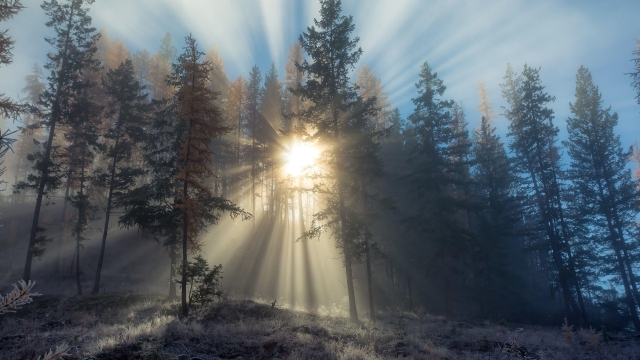 A Journey Through Myth: Spiritual Meanings in Folktales