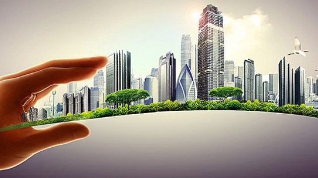 Real Estate Success Stories: Cash Purchasers Share Their Secrets