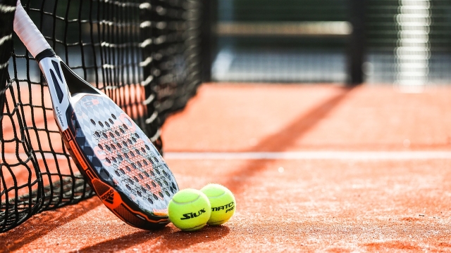 Overview of Padel Courts Types and Features sport that