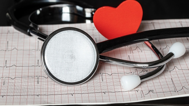 Understanding Heart Disease Causes and Risk Factors