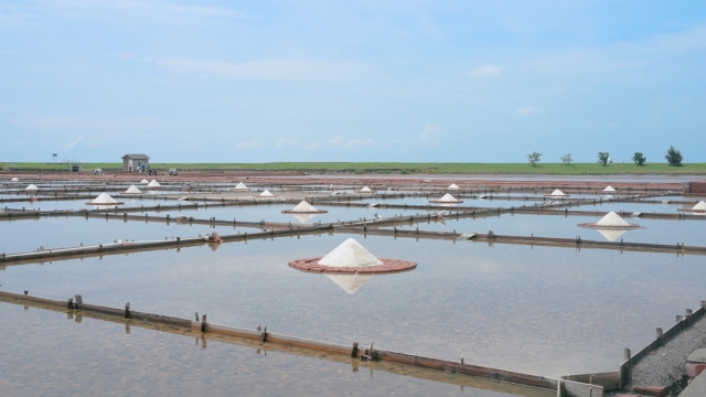 Essential Equipment for Fish Farming Fish gained