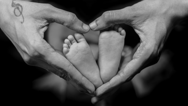 Understanding Immunization Services What They Are and Why They Matter Immunization services