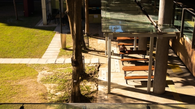 Common Issues with Concrete Pool Decks