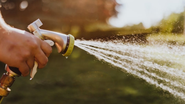 Common Signs of Pool Leaks