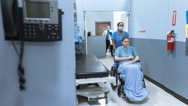 Overview of Physical Therapy Services in Forest Hills Explained