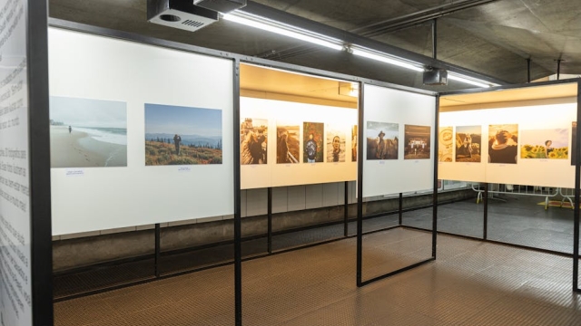 Types of Performance Opportunities for Artists