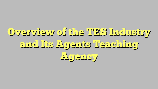 Overview of the TES Industry and Its Agents Teaching Agency