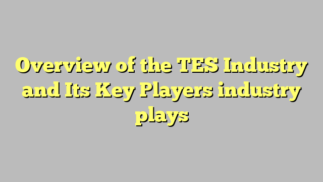 Overview of the TES Industry and Its Key Players industry plays